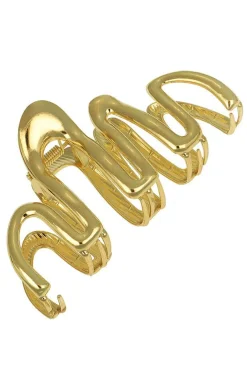 Carnival Claw Clip