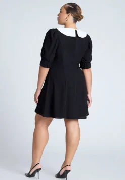 Contrast Collar Mini Dress