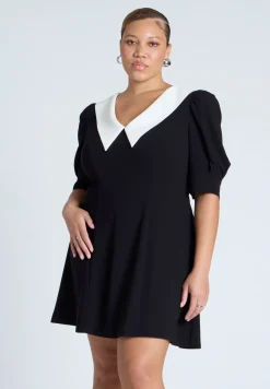 Contrast Collar Mini Dress