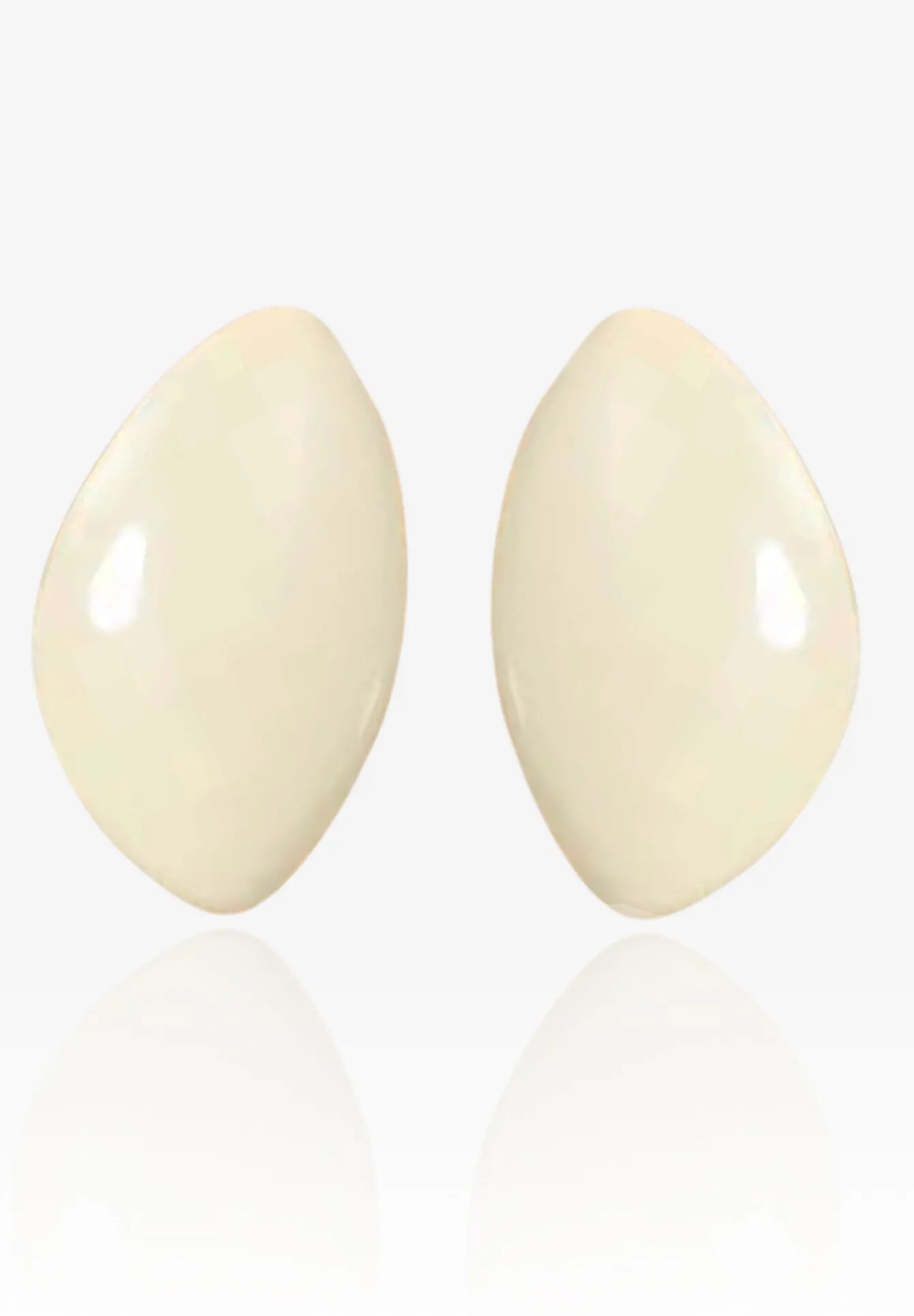 Lennie Acrylic Earrings